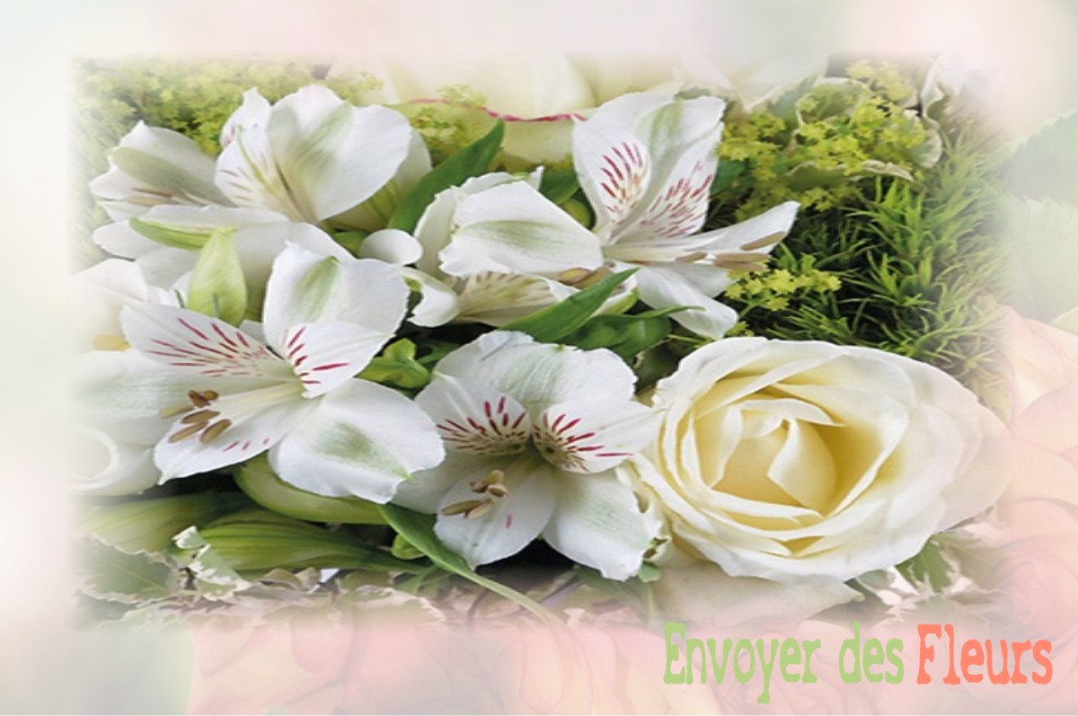 envoyer des fleurs à à SAINTE-COLOMBE-DES-BOIS