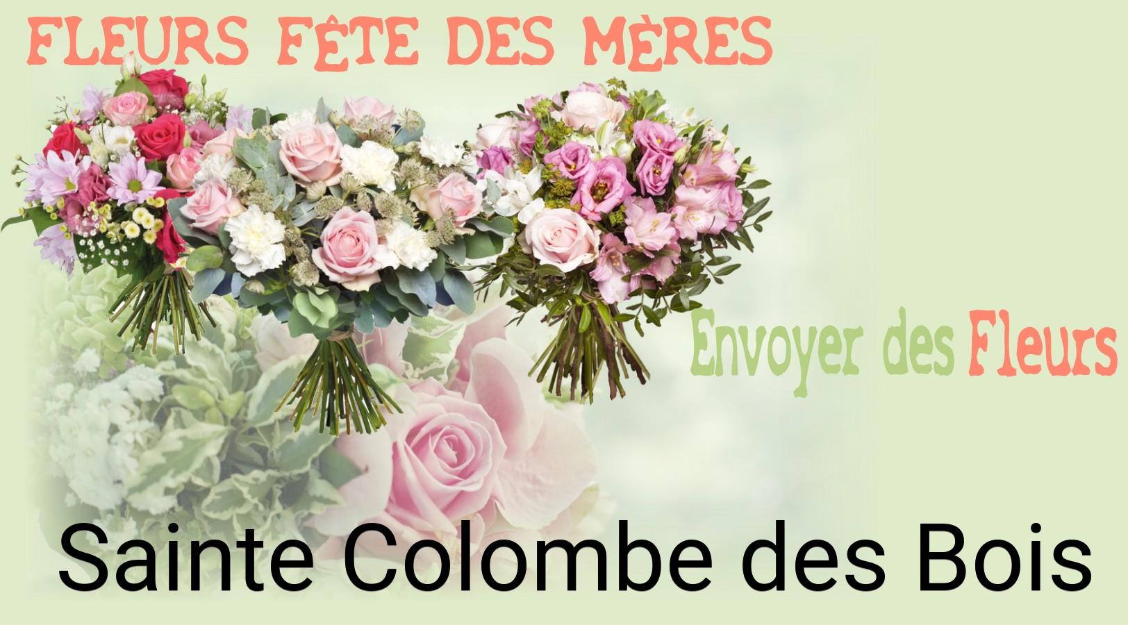 Bouquet de Fête des Mères livré à Sainte-Colombe-des-Bois